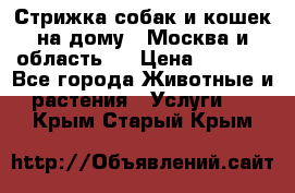 Стрижка собак и кошек на дому.  Москва и область.  › Цена ­ 1 200 - Все города Животные и растения » Услуги   . Крым,Старый Крым